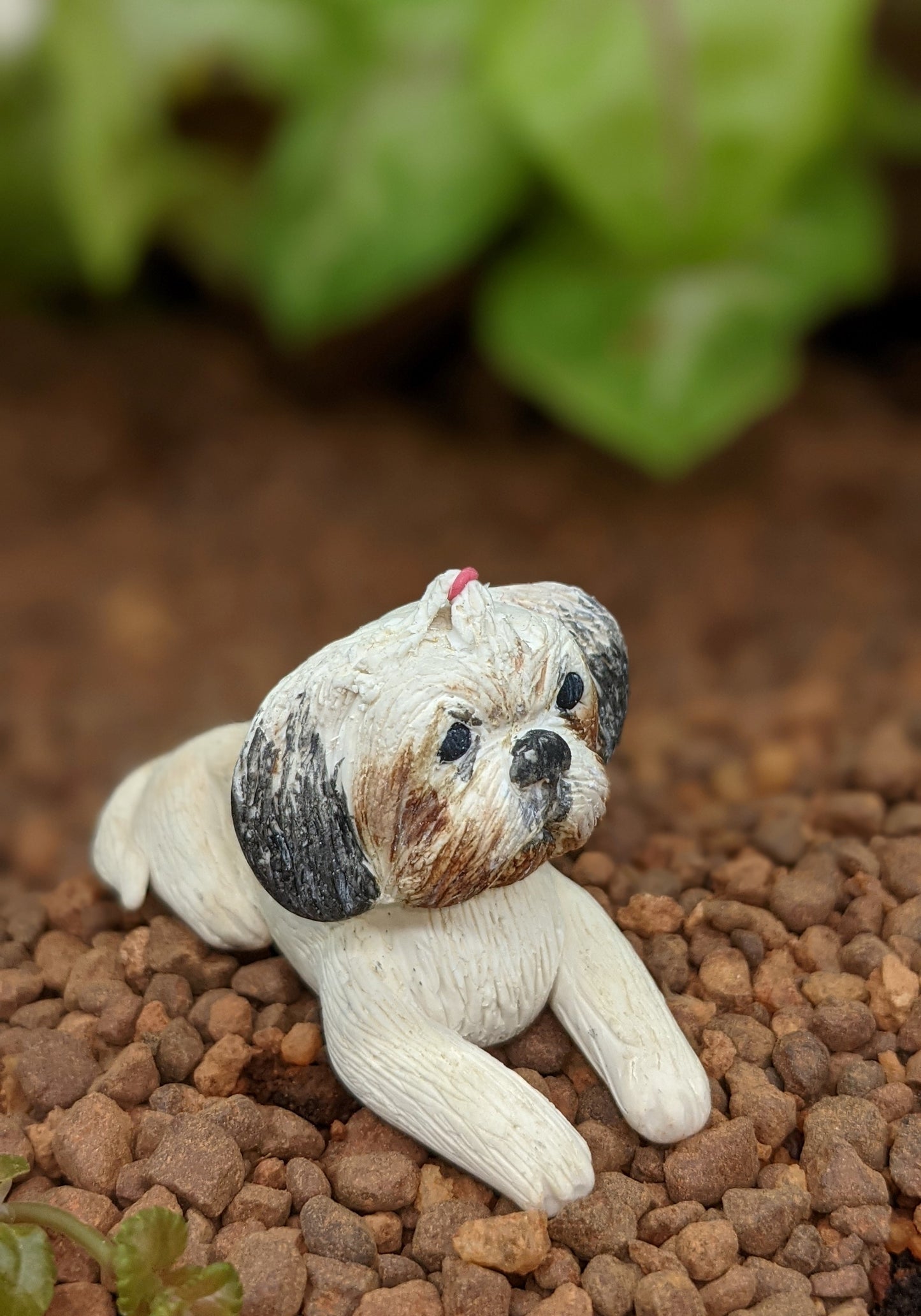 Miniature Shitzu Dog