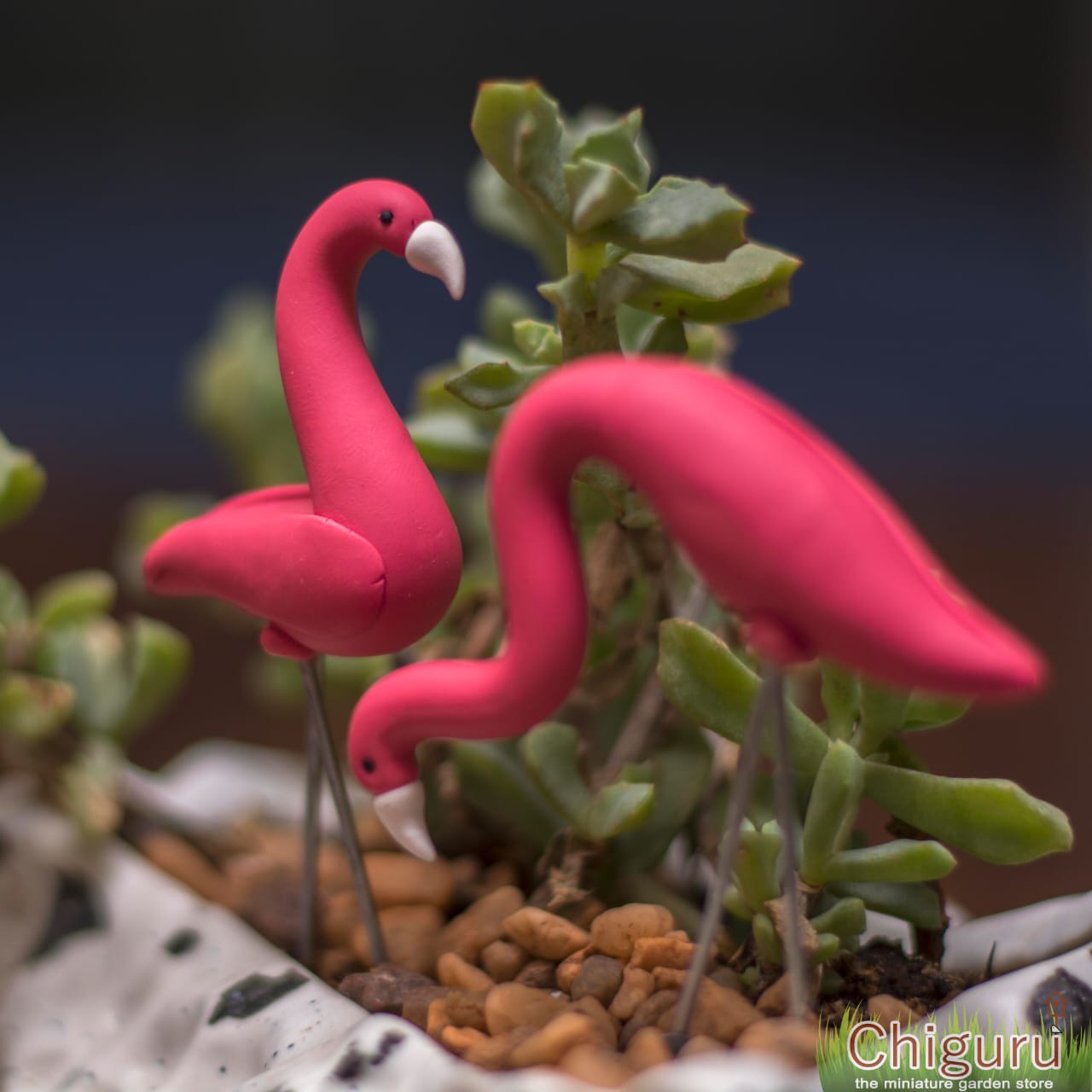 Pair of Flamingos