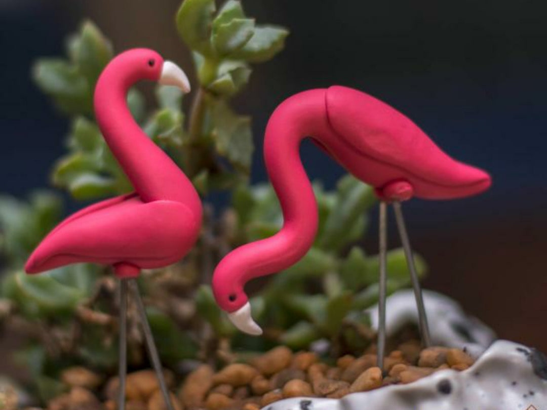 Pair of Flamingos