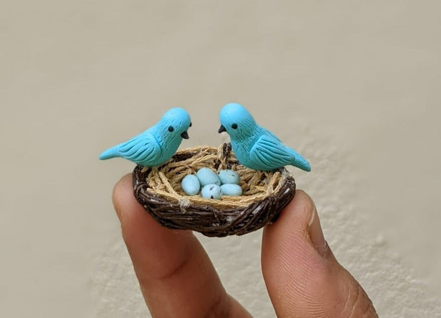 Bird Nest