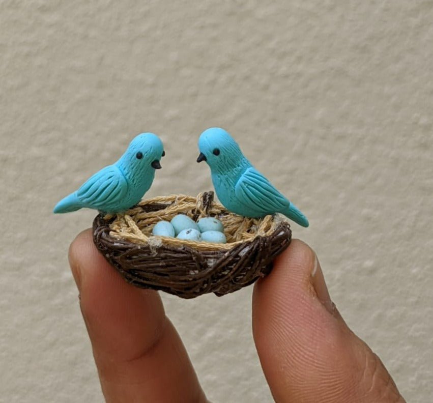 Bird Nest