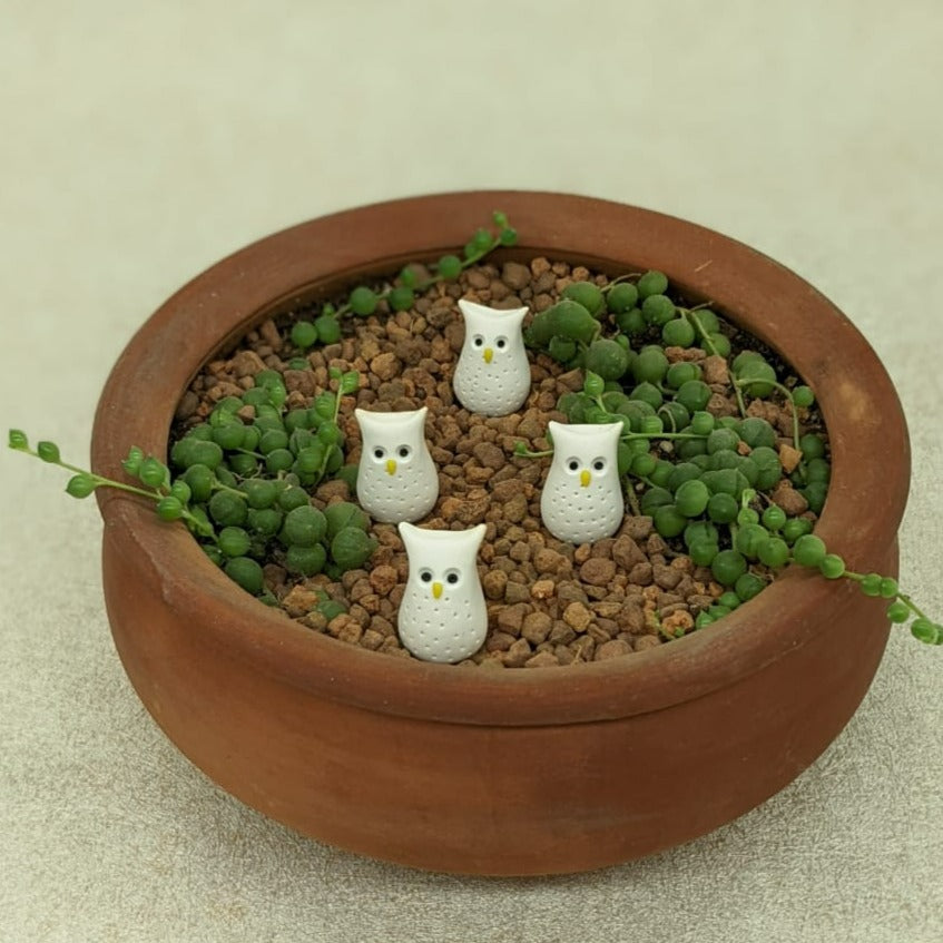 Miniature owls - set of 4