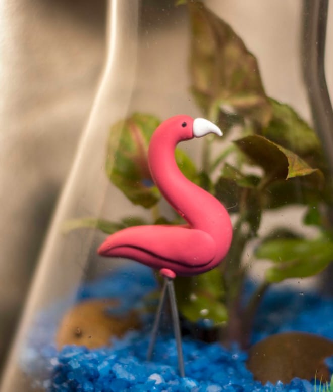 Miniature Flamingo