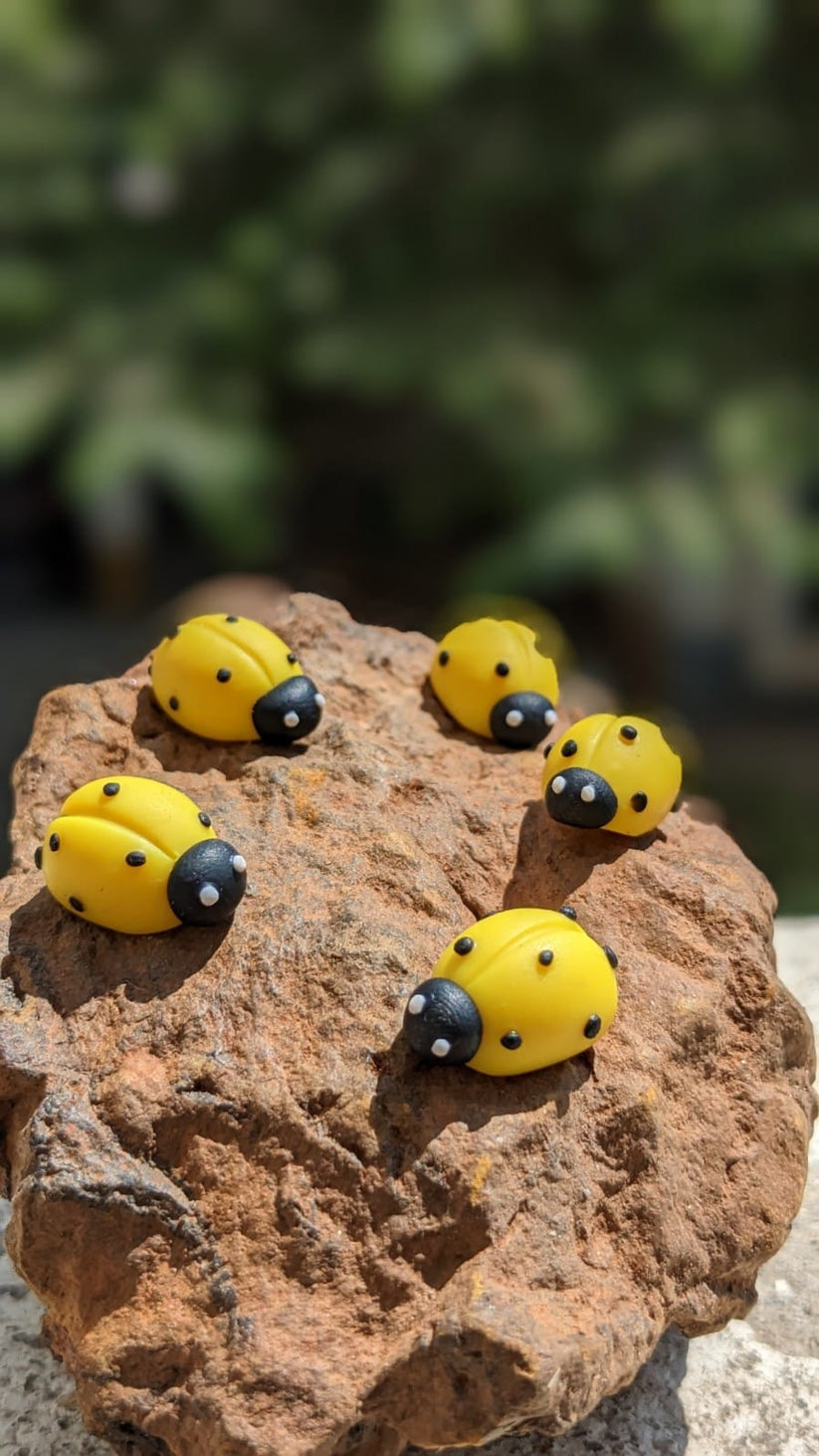Miniature ladybugs - set of 5 – Chiguru - the miniature garden store