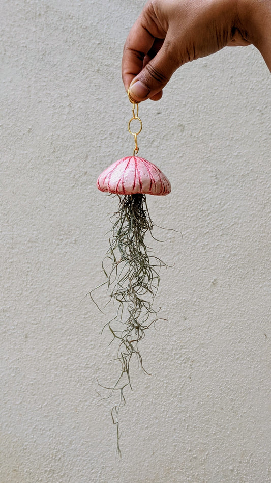 jelly fish air plant holder with spanish moss